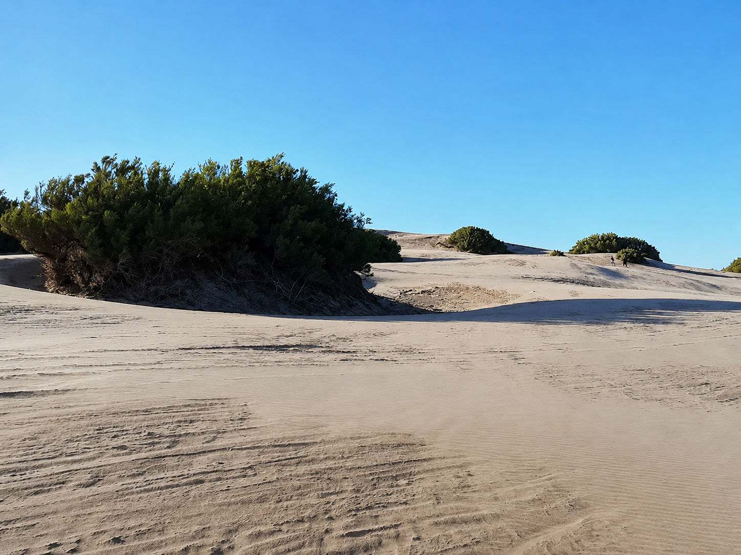Camping reta - Imagen 1